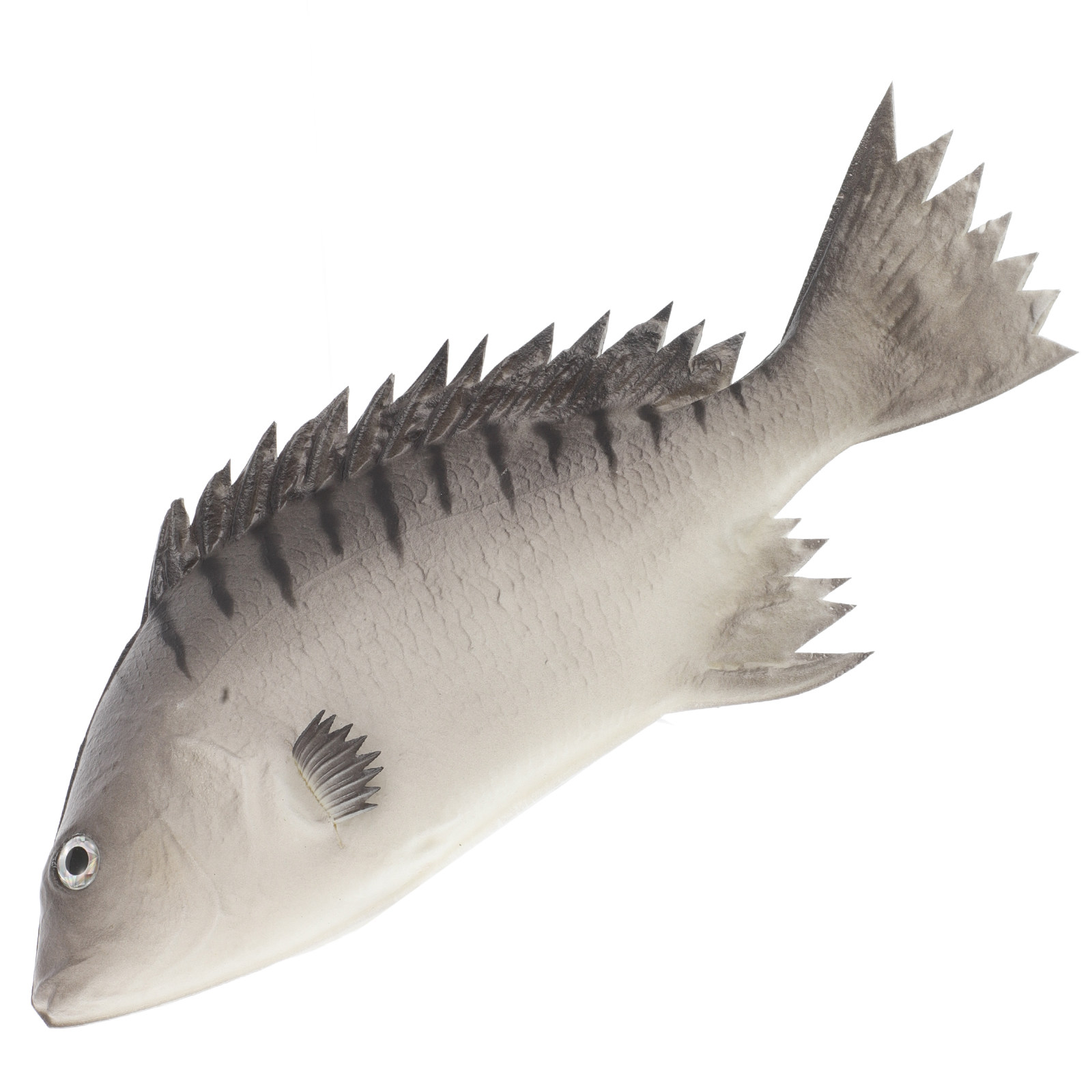 Realistic Simulation Fish Deco - Photography Simulator 评论和价格