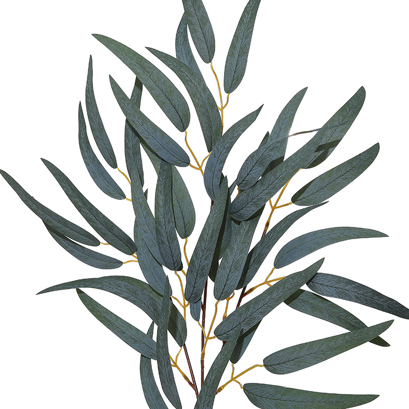 2pc 54cm 3 Fork Eucalyptus Lea - Photography Simulator 评论和价格