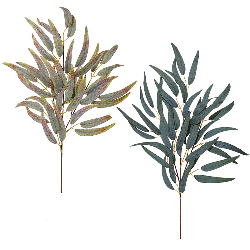 2pc 54cm 3 Fork Eucalyptus Lea - Photography Simulator 评论和价格