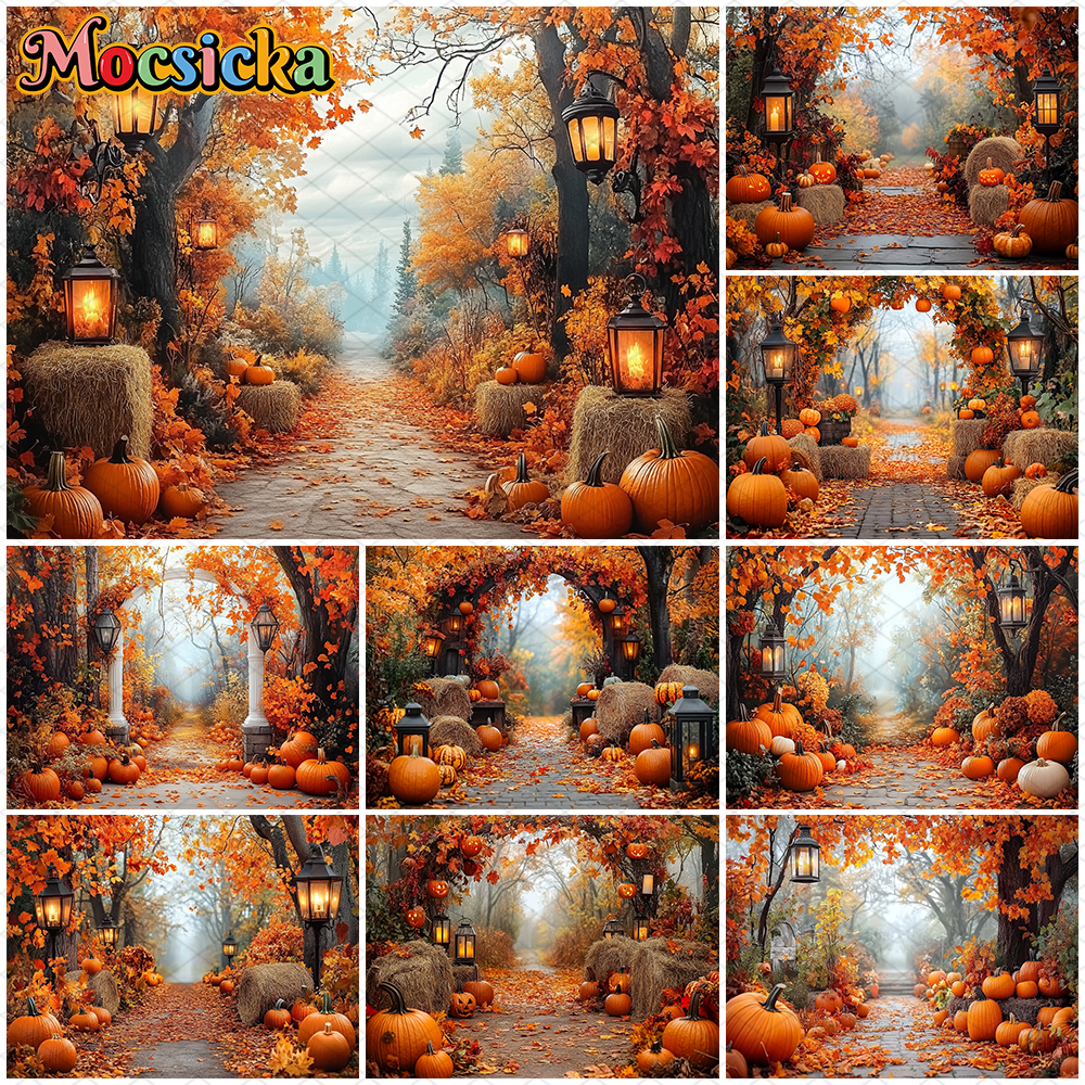 Mocsicka Autumn Photography Ba - Photography Yellow Light 评论和价格