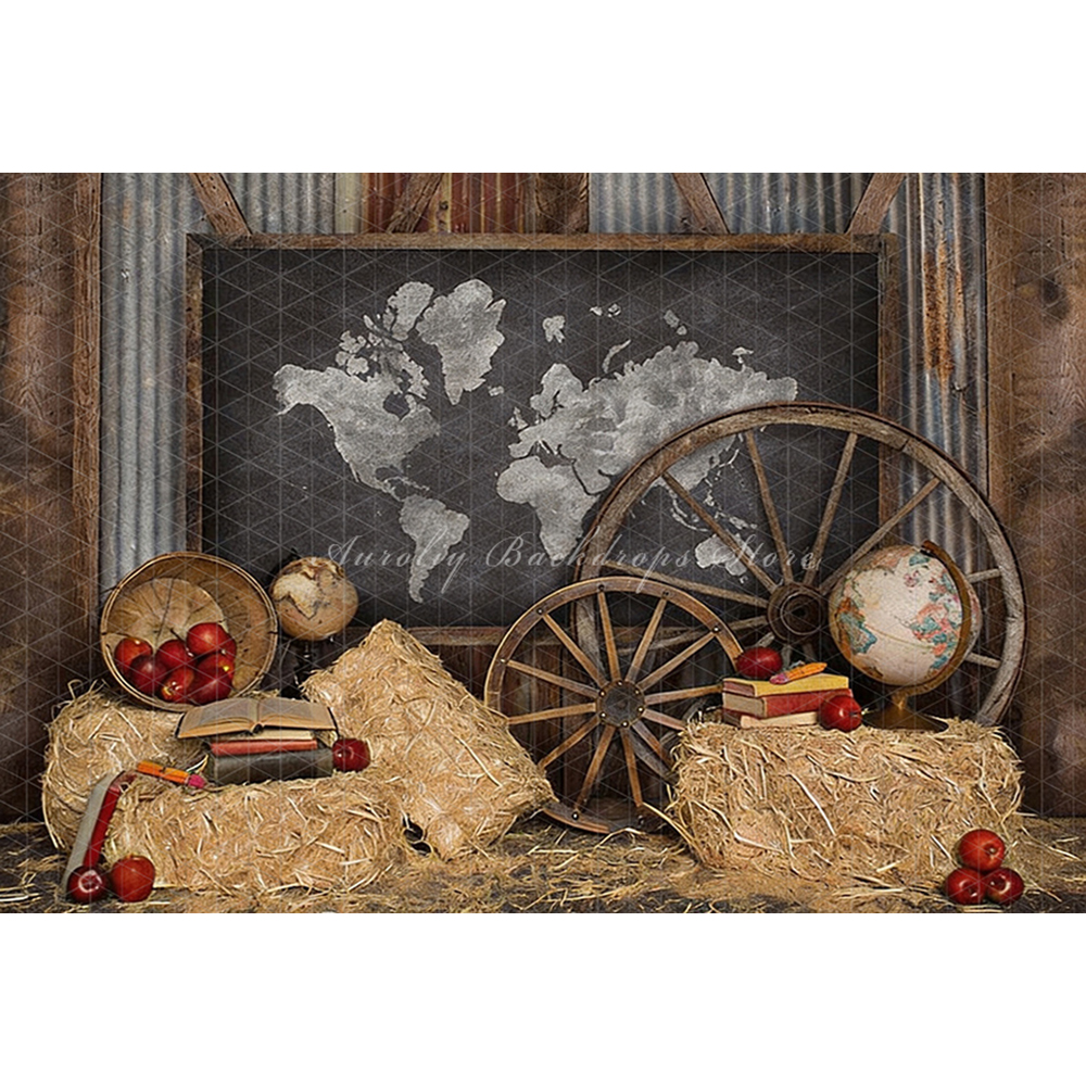 Vintage World Map Globes Geogr - Photography Mapped 评论和价格